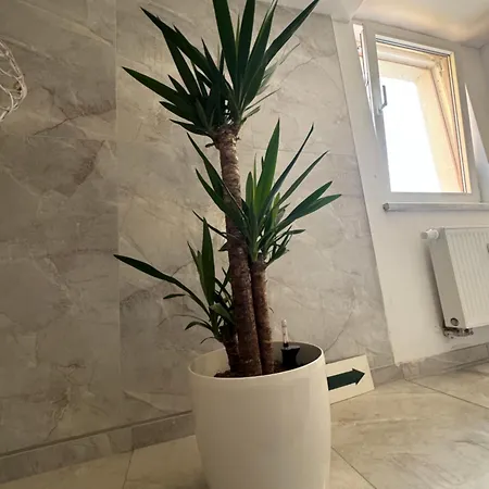 Apartmán Terrassenmaisonette Mit Stil *